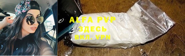 дживик Горняк