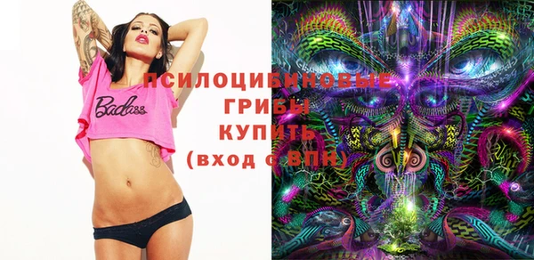 дживик Горняк