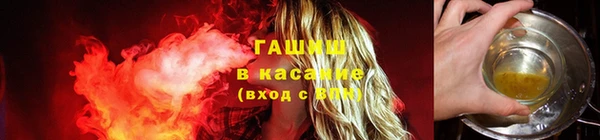 дживик Горняк