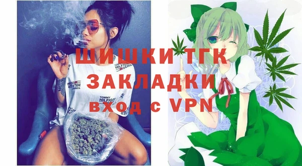 дживик Горняк